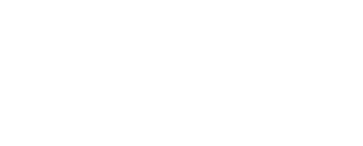 年中夢忠